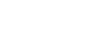 7. Zendesk blanco